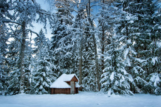 istock Hut in snowy forest 530796161