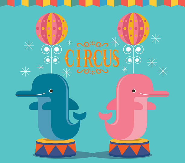Circus show with Dolphin