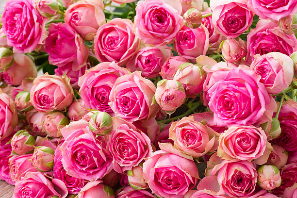 istock bouquet of pink roses 530798621