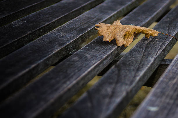 istock Autumn leaf on the wooden background 530799461