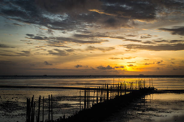 istock Dawn at the seaside when low tide 530799829