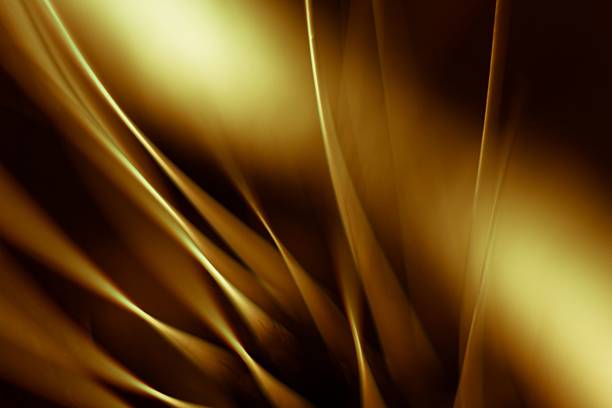 istock Cat's whiskers 530800517