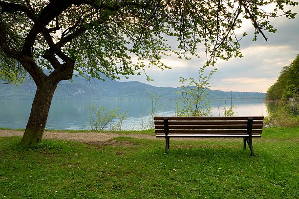 istock Empty bench at spring montain lake. The coast apple tree 530806066