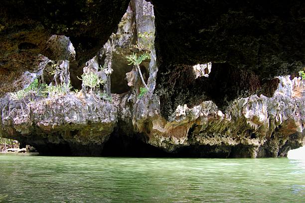 istock Karst rocks, Phang-Nga bay national park - Thailand 530808311