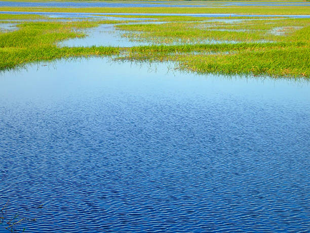 istock lake view and water scape 530808569