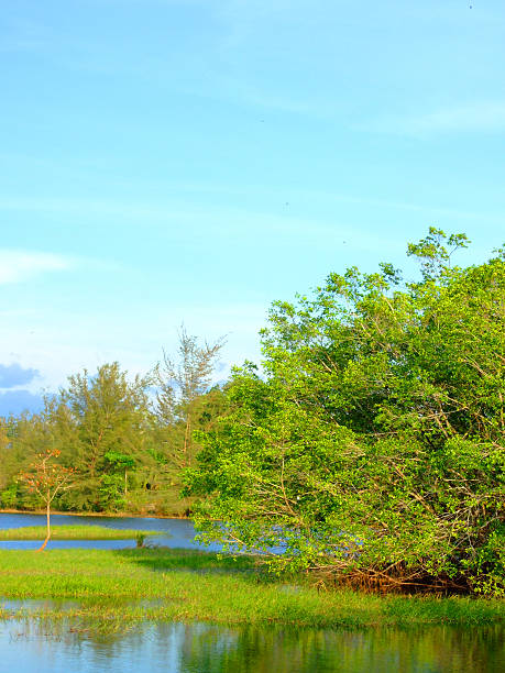 istock lake view and water scape 530808625