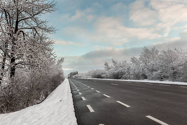istock Hoge venen in snow 530810243