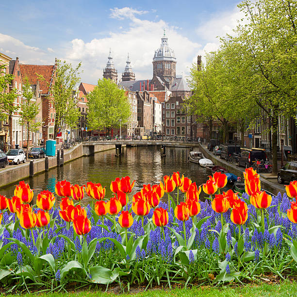 istock Church of St Nicholas in  Amsterdam 530810747