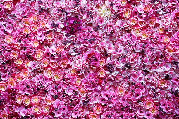 istock Beautiful flowers wall background 530811134