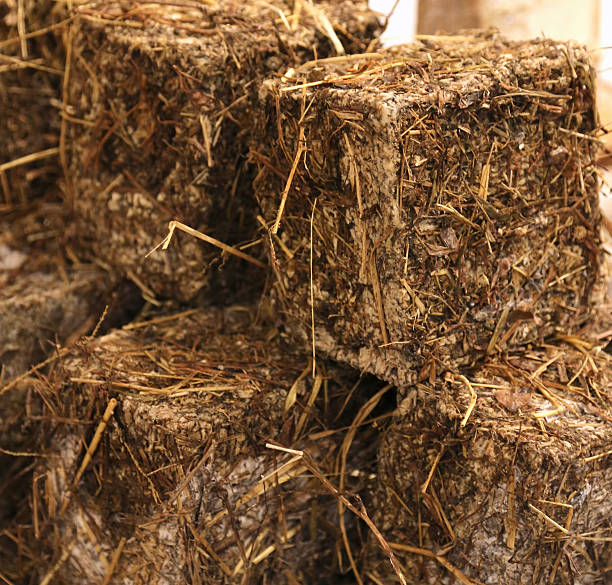 istock Cave aged cheese wrapped in leaves and straw 530812120