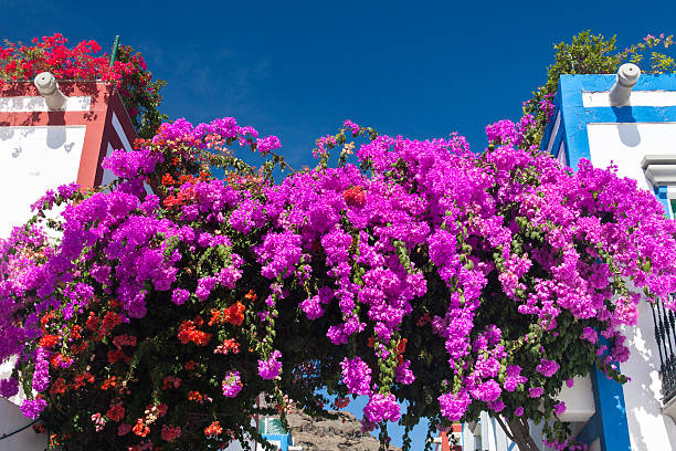 istock Beautiful Building Detail, Gran Canaria 530814951
