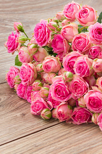 istock pile  of pink roses 530815251
