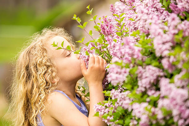 Young Girl Smelling Lilac Blossoms in Springtime stock photo