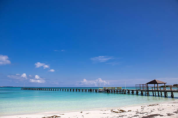 istock Wooden pier on tropical beach 530815978