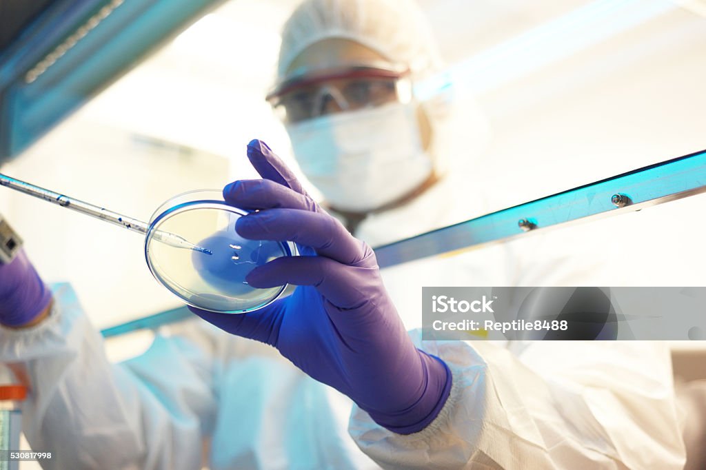 scientist in a clean room Laboratory Stock Photo