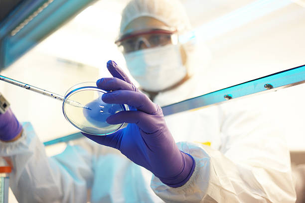 scientist in a clean room scientist in a clean room biohazard symbol stock pictures, royalty-free photos & images