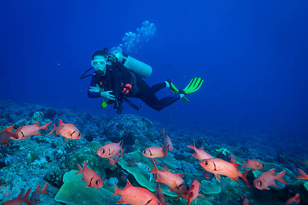 istock Soldierfish and diver - Palau, Micronesia 530819784