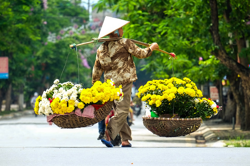 Hanoi, Vietnam - May 6, 2012: Unidentified vietnamese woman florist vendor on street in hanoi, vietnam.