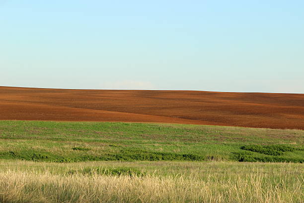 istock plowed field against the sky 530822584