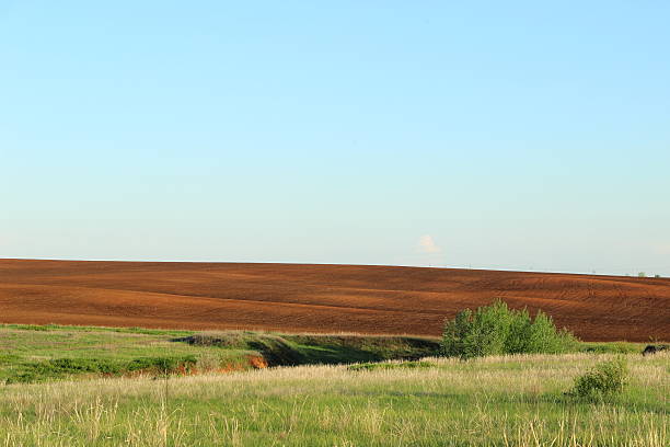 istock plowed field against the sky 530822618