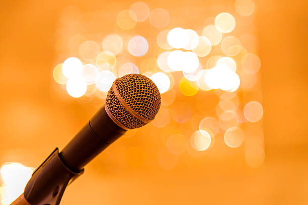 istock Microphone in meeting room before a conference 530822968