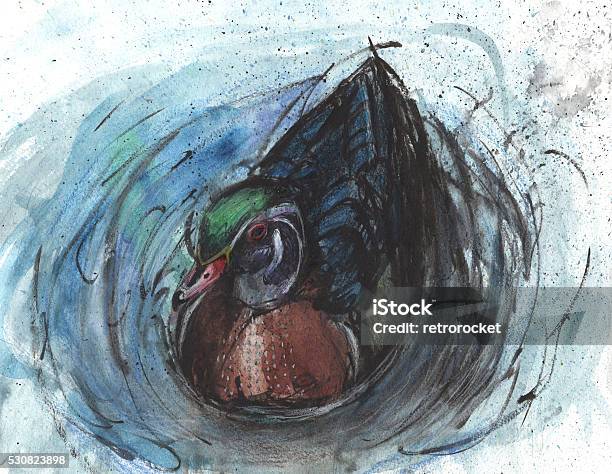 Wood Duck Stock Illustration - Download Image Now - Bird, Drawing - Art Product, Duck - Bird