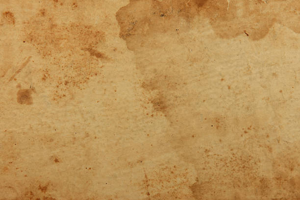 istock Sheet of Old paper background 530825659