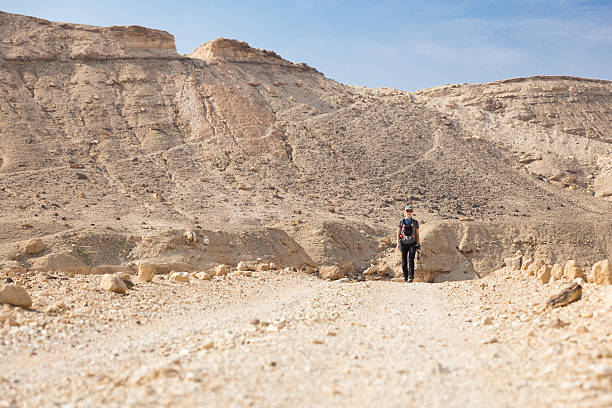 istock Young woman walking desert road. 530826185