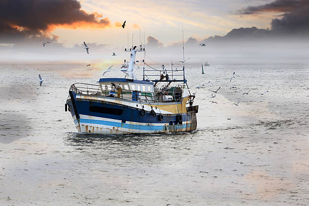 fim do dia - nave - fotografias e filmes do acervo