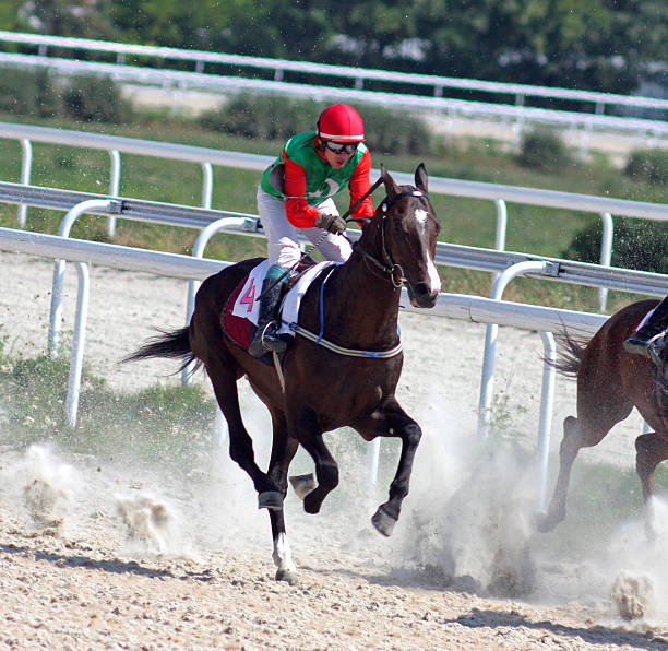 istock Horse racing in Pyatigorsk. 530827574