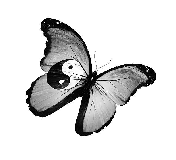 istock Dao flag butterfly, isolated on white 530828149