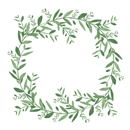 Watercolor olive wreath. Isolated vector illustration on white b
