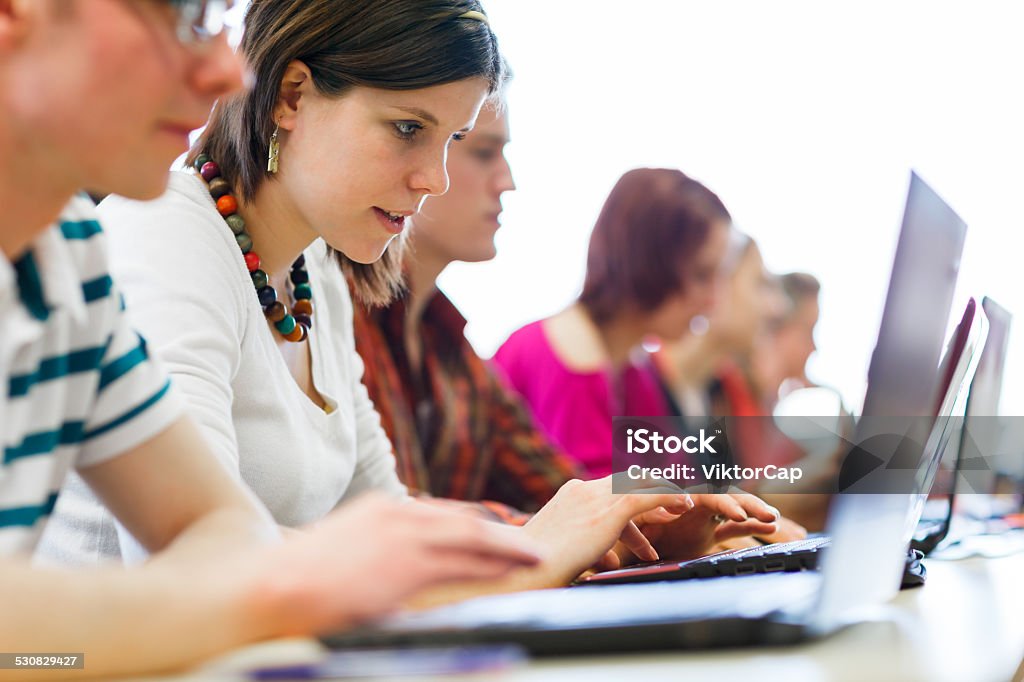 College students sitting in a classroom using laptop computers Group of college or university students in in a classroom during class (shallow DOF, color toned image) Adult Stock Photo