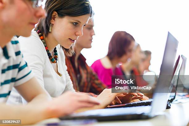 College Students Sitting In A Classroom Using Laptop Computers Stock Photo - Download Image Now