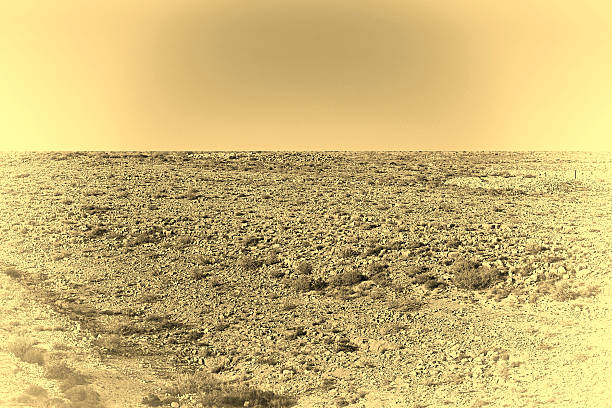 istock Desert in Israel 530830002