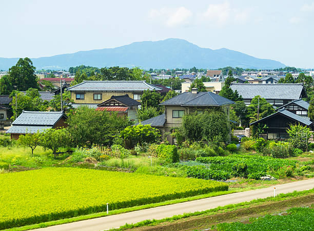 rural quartier résidentiel du japon et les jardins qui l'entourent. - niiagata photos et images de collection