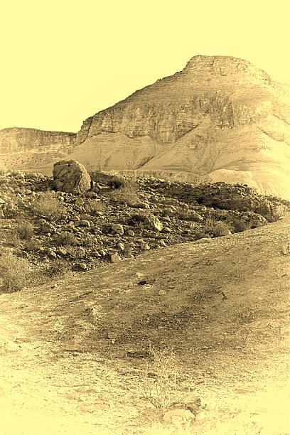 istock Desert in Israel 530831074