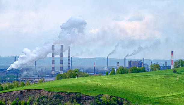 istock landscape ecology plants 530831658