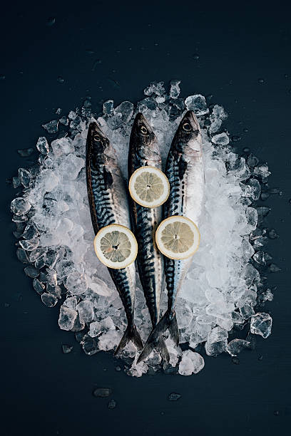 istock Mackerel fish on ice seafood still life 530832184