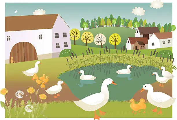 Vector illustration of Duck farm