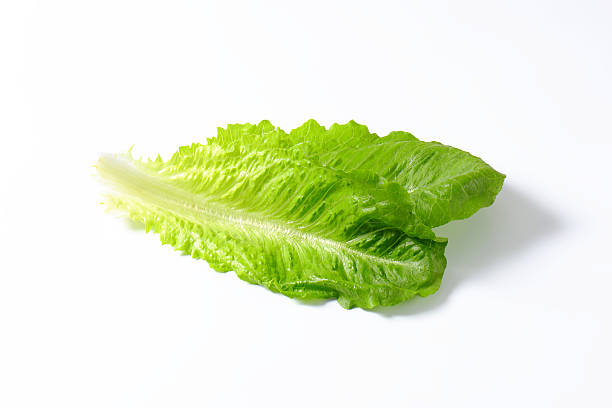 istock romaine lettuce leaves 530834068