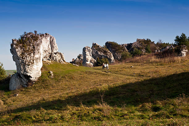 istock Jura Krakowsko-Czestochowska 530840347