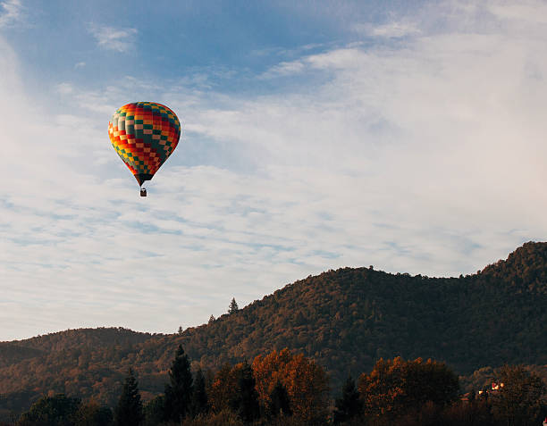 istock Single hot air balloon flying in the sky 530844301
