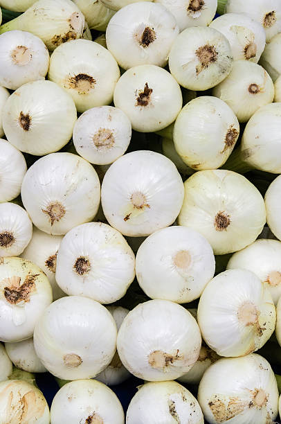 White onions on display