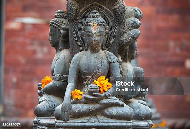 Marigold Flowers Stock Photo - Download Image Now - 2015, Buddha, Buddhism