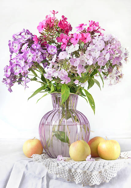 istock Still life with phlox flowers and apples 530853381