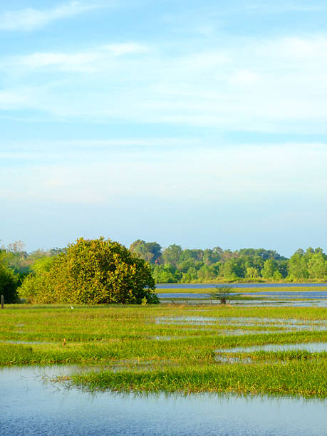 istock lake view and water scape 530853495
