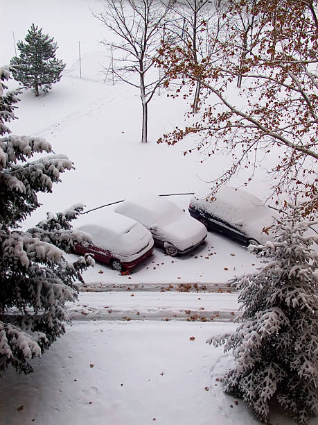 istock Cars buried in snow 530854983