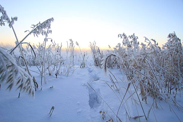 pistas de invierno - fort mcmurray fotografías e imágenes de stock