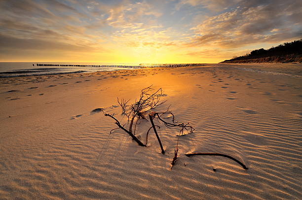 istock Baltic sea at beautiful landscape 530855621